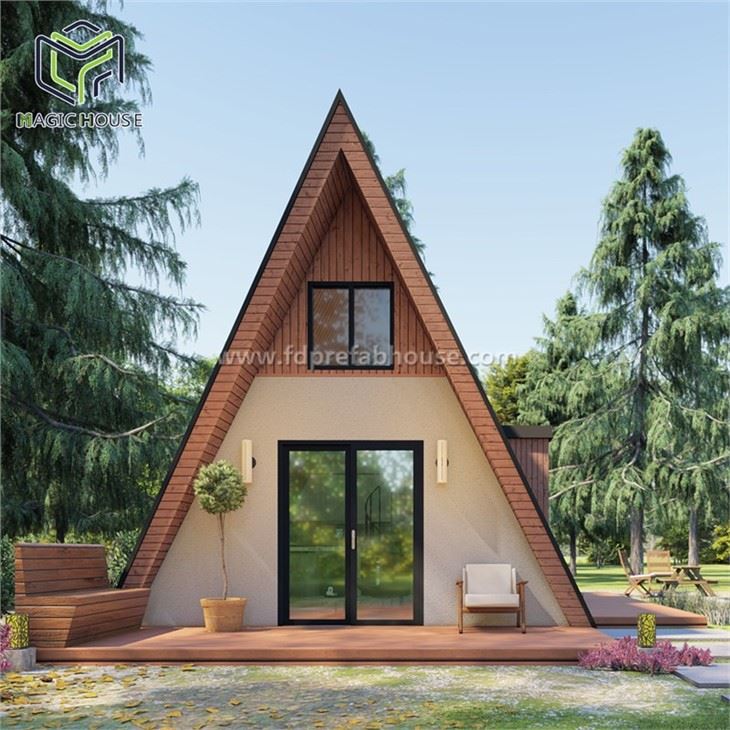 Design Creative Triangle House Renderings